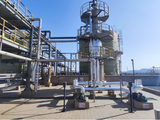 202411211732153959474205.png 31b443a507d931e4c4e624f715f1106.png